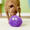 Show in main carousel: GoDog Furballz Chew Guard Squeaky Plush Dog Toy, Purple, Large slide 7 of 11