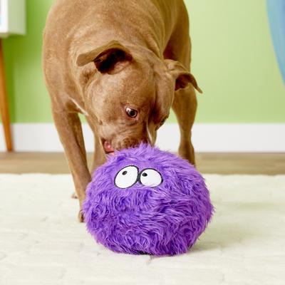 Show full view: GoDog Furballz Chew Guard Squeaky Plush Dog Toy, Purple, Large slide 7 of 11