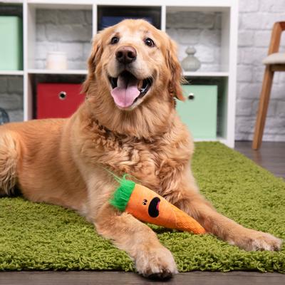 Show full view: GoDog Tough N Texture Carrot Dog Toy, Orange slide 3 of 10