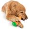 Show in main carousel: GoDog Tough N Texture Carrot Dog Toy, Orange slide 4 of 10