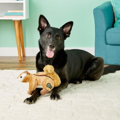 Show full view: GoDog Wildlife Chew Guard Chipmunk Squeaky Plush Dog Toy, Large slide 3 of 8