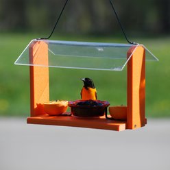 Going Green Deluxe Oriole Wild Bird Feeder slide 2 of 2