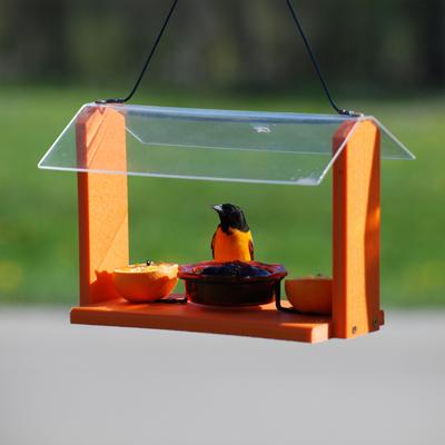 Show full view: Going Green Deluxe Oriole Wild Bird Feeder slide 2 of 3