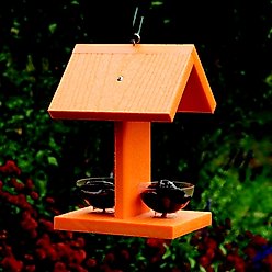 Going Green Oriole fruit dishes Wild Bird feeder slide 2 of 2