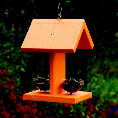 Show full view: Going Green Oriole fruit dishes Wild Bird feeder slide 2 of 2