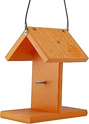 Going Green Oriole Fruit Spikes Wild Bird Feeder slide 1 of 2