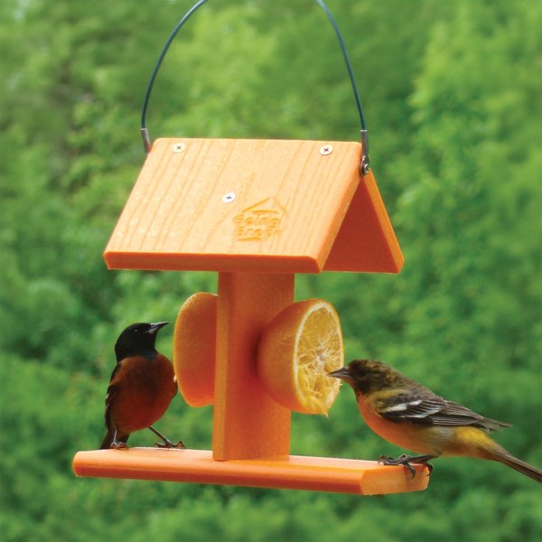 Going Green Oriole Fruit Spikes Wild Bird Feeder