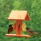 Show in main carousel: Going Green Oriole Fruit Spikes Wild Bird Feeder slide 2 of 2