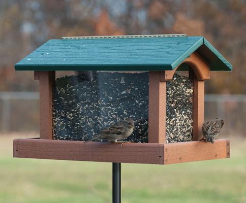 Show full view: Going Green Premier Wild Bird Feeder, Extra Large: 10-lb slide 2 of 3