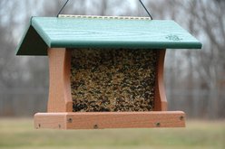 Going Green Premier Wild Bird Feeder, Large: 5-lb slide 2 of 2