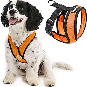 Gooby Comfort X Mesh Dog Harness, Orange, X-Large: 20.5 to 28-in chest