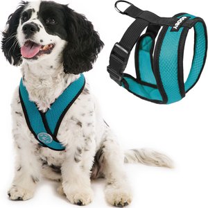 GOOBY Comfort X Mesh Dog Harness, Turquoise, Large: 17 to