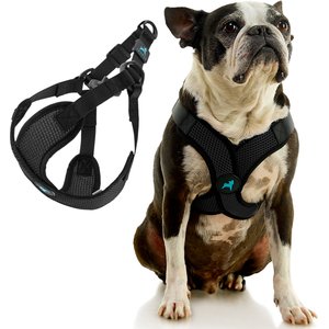 Gooby Comfort X Step In Lite Dog Harness, Black, Large: 19 to 22-in chest