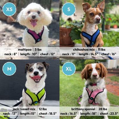 Show full view: Gooby Comfort X Step In Lite Dog Harness, Black, Large: 19 to 22-in chest slide 2 of 6