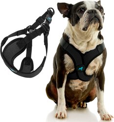 Gooby Comfort X Step In Lite Dog Harness, Black, Small: 14 to 17-in chest