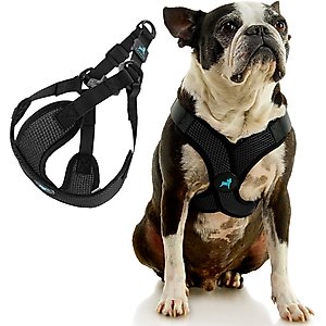 Gooby Comfort X Step In Lite Dog Harness, Black, Small: 14 to 17-in chest