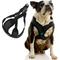 Show in main carousel: Gooby Comfort X Step In Lite Dog Harness, Black, Small: 14 to 17-in chest slide 1 of 6