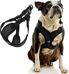 Gooby Comfort X Step In Lite Dog Harness, Black, X-Small: 11.8 to 14-in chest