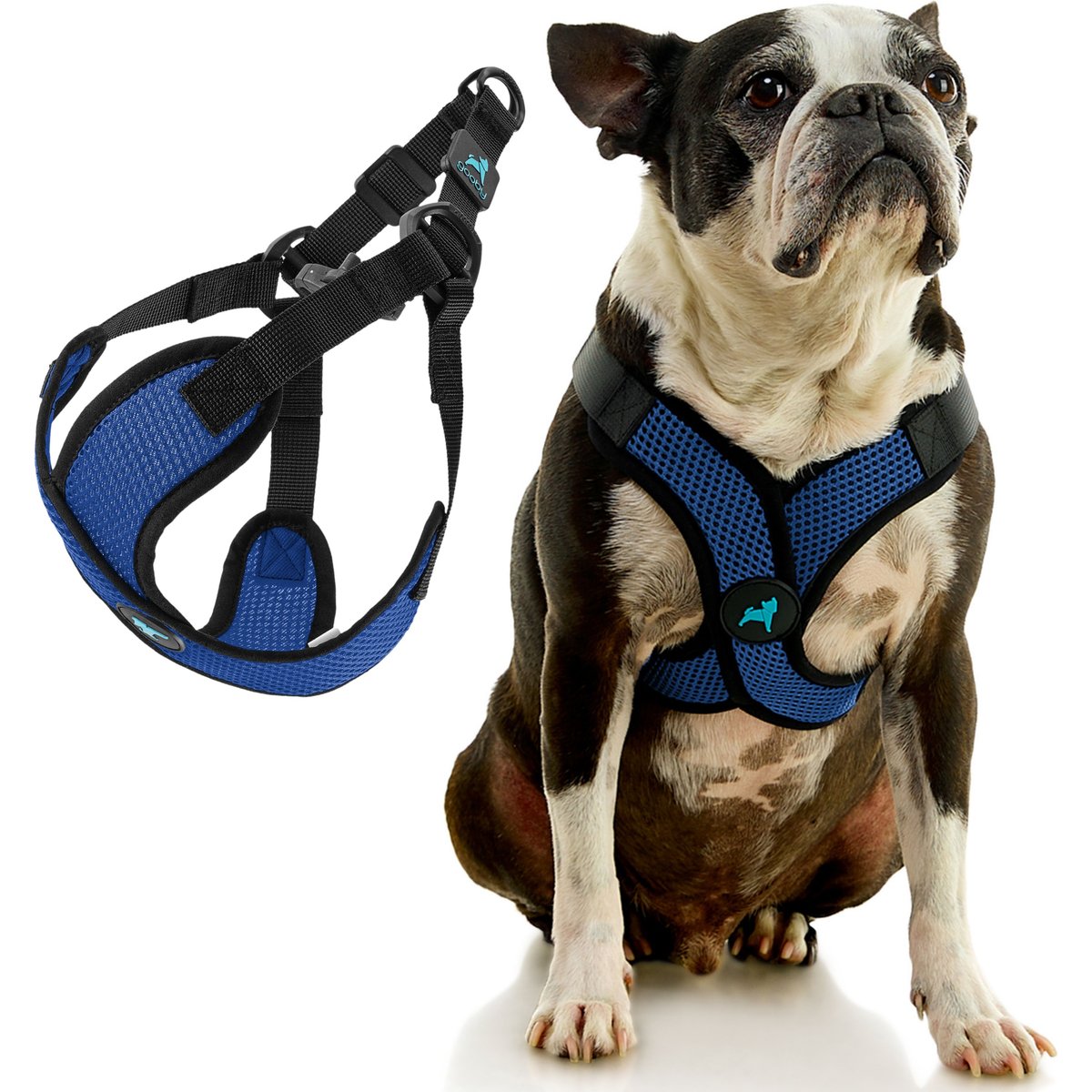 Gooby Comfort X Step In Lite Dog Harness, Blue, X-Large: 22 to 28-in chest