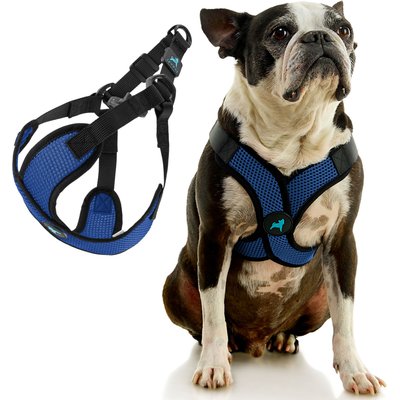 Gooby Gooby Comfort X Step In Lite Dog Harness, Blue, X-Large: 22 to 28-in chest