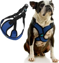 Gooby Comfort X Step In Lite Dog Harness, Blue, X-Small: 11.8 to 14-in chest