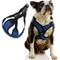 Show in main carousel: Gooby Comfort X Step In Lite Dog Harness, Blue, X-Small: 11.8 to 14-in chest slide 1 of 6