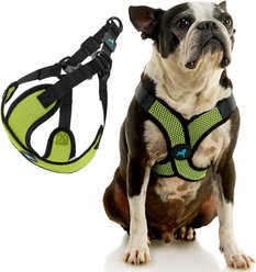 Gooby Comfort X Step In Lite Dog Harness, Green, Medium: 16 to 20-in chest