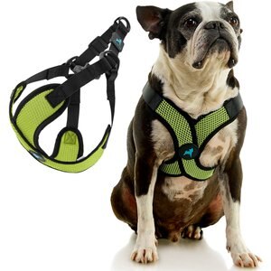 Gooby Comfort X Step In Lite Dog Harness, Green, Small: 14 to 17-in chest