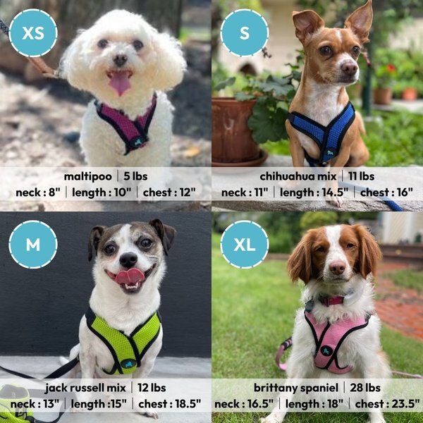 Gooby Comfort X Mesh Step In Back Clip Dog Harness