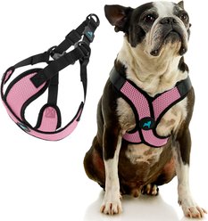 Gooby Comfort X Step In Lite Dog Harness, Pink, Small: 14 to 17-in chest