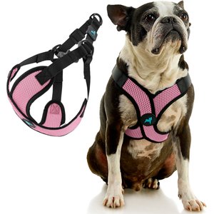Gooby Comfort X Step In Lite Dog Harness, Pink, Small: 14 to 17-in chest