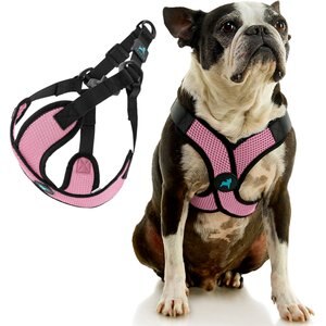 Gooby Comfort X Step In Lite Dog Harness, Pink, X-Small: 11.8 to 14-in chest