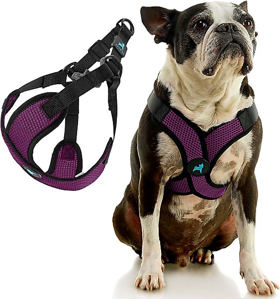 gooby comfort harness