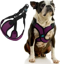 Gooby Comfort X Step In Lite Dog Harness, Purple, Medium: 16 to 20-in chest
