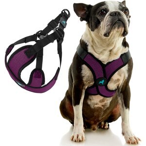 Gooby Comfort X Step In Lite Dog Harness, Purple, X-Large: 22 to 28-in chest