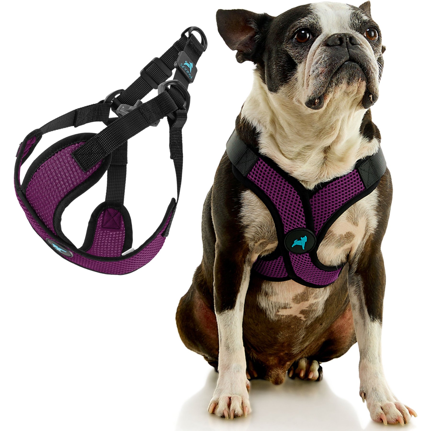 Gooby Comfort X Step In Lite Dog Harness, Purple, X-Small: 11.8 to 14-in chest