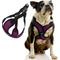 Show in main carousel: Gooby Comfort X Step In Lite Dog Harness, Purple, X-Small: 11.8 to 14-in chest slide 1 of 6
