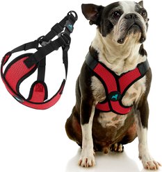 Gooby Comfort X Step In Lite Dog Harness, Red, X-Small: 11.8 to 14-in chest