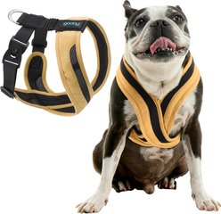 Gooby Escape Free Comfort X One Dog Harness, Miami Yellow, Large: 19.25 to 22.75-in chest