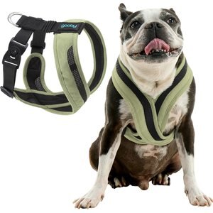 Lucy & Co. The Santa Land Frost No-Pull Dog Harness, Silver