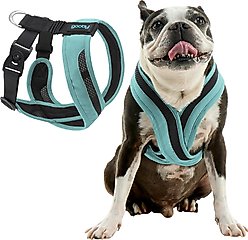 Gooby Escape Free Comfort X One Dog Harness, Seattle Blue, Medium: 16 to 19.75-in chest