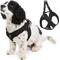 Show in main carousel: Gooby Escape Free Easy Fit Dog Harness, Black, Small: 16 to 19.25-in chest slide 1 of 8
