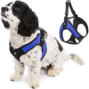 Gooby Escape Free Easy Fit Dog Harness, Blue, X-Small: 15 to 17.25-in chest