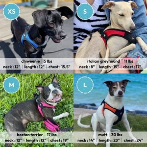 Gooby Escape Free Easy Fit Dog Harness, Hot Pink, X-Small: 15 to 17.25-in chest