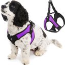 Gooby Escape Free Easy Fit Dog Harness, Purple, Large: 20.25 to 24.75-in chest