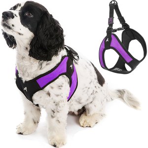 Gooby Escape Free Easy Fit Dog Harness, Purple, Medium: 18 to 21.75-in chest