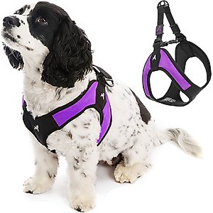 Gooby Escape Free Easy Fit Dog Harness, Purple, Small: 16 to 19.25-in chest