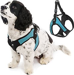 Gooby Escape Free Easy Fit Dog Harness, Turquoise, Medium: 18 to 21.75-in chest
