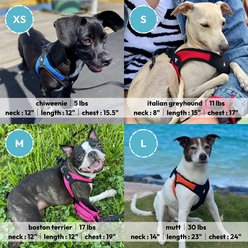 Gooby Escape Free Easy Fit Dog Harness, Turquoise, Medium: 18 to 21.75-in chest slide 2 of 6