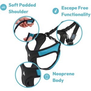 Gooby Escape Free Easy Fit Dog Harness, Turquoise, Small: 16 to 19.25-in chest